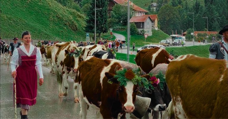 Désalpe Charmey: An Annual Swiss Tradition
