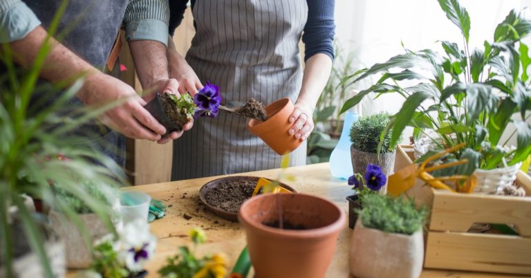 How to Start a Gardening Class Business